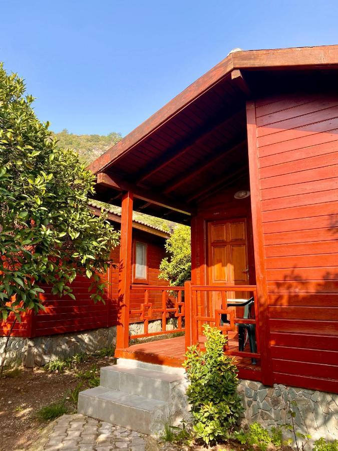 Safir Pansiyon Cirali Exterior foto