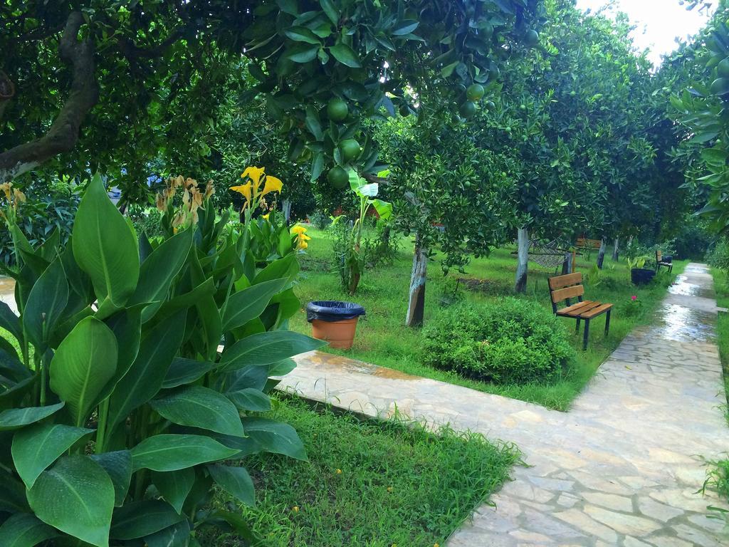 Safir Pansiyon Cirali Exterior foto