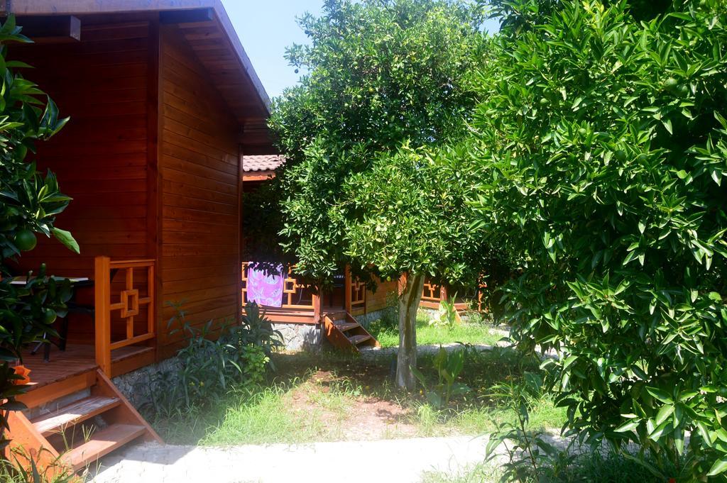 Safir Pansiyon Cirali Exterior foto