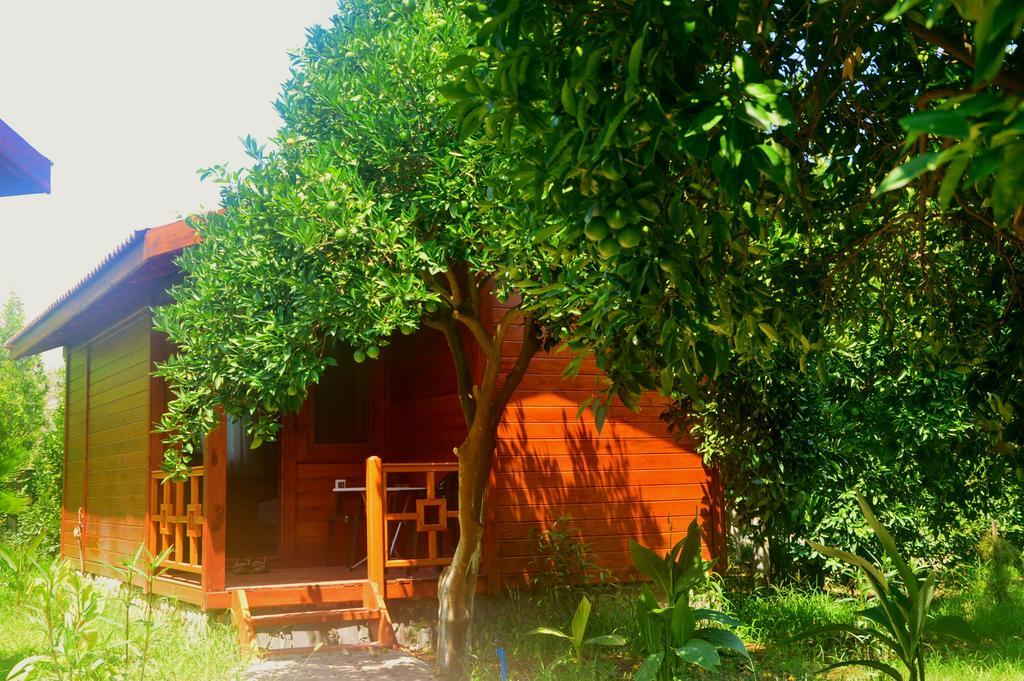 Safir Pansiyon Cirali Exterior foto