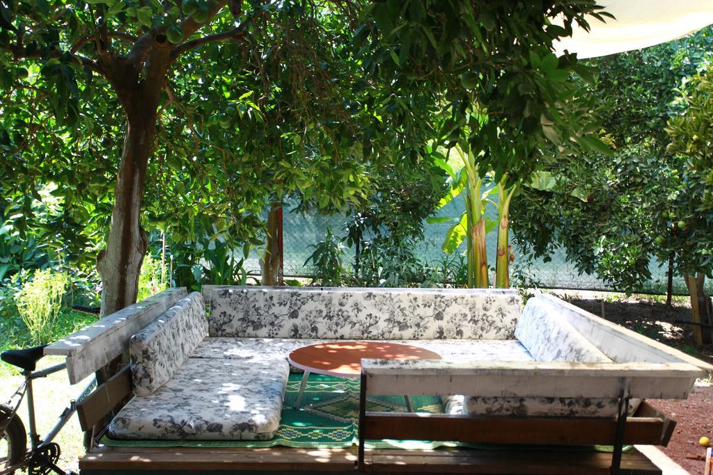 Safir Pansiyon Cirali Exterior foto