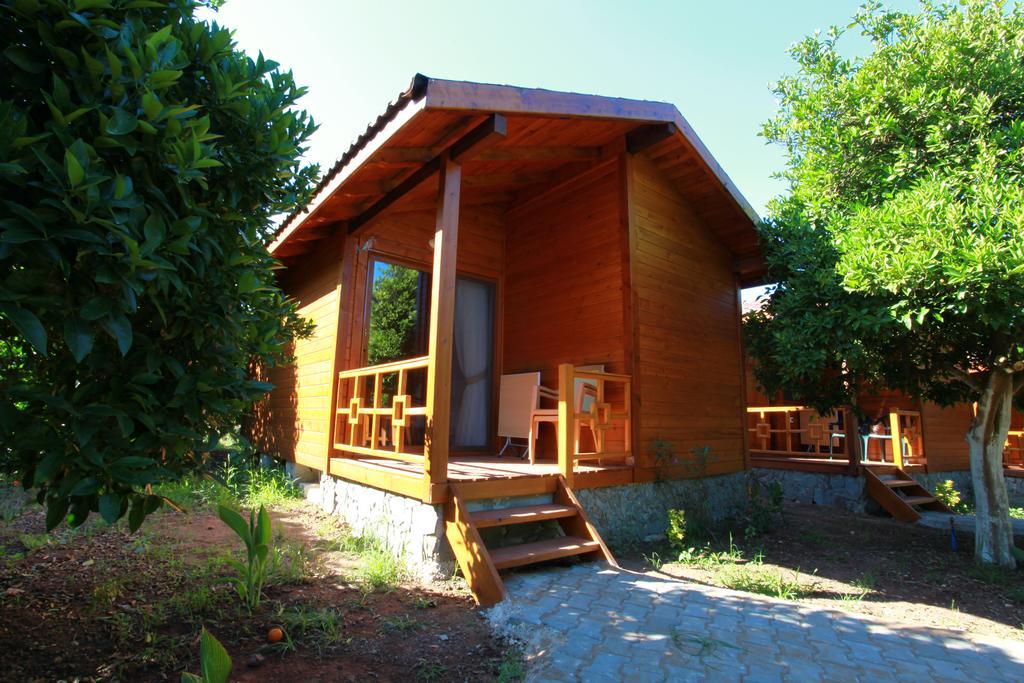 Safir Pansiyon Cirali Exterior foto