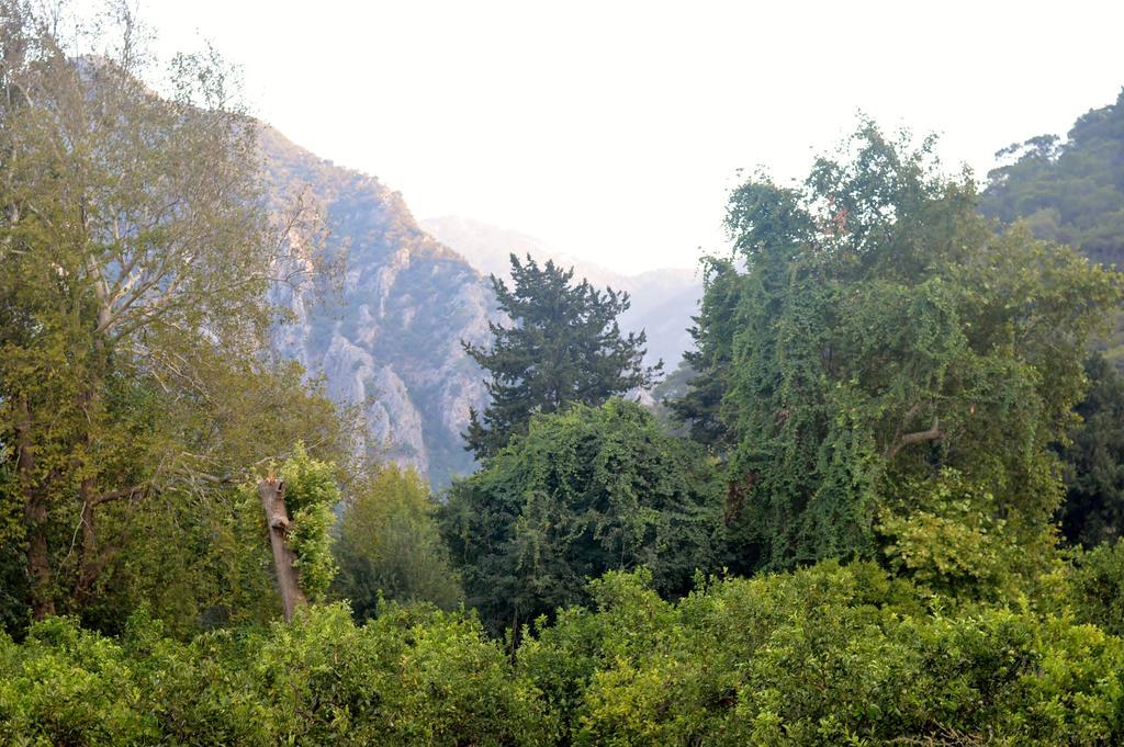 Safir Pansiyon Cirali Exterior foto